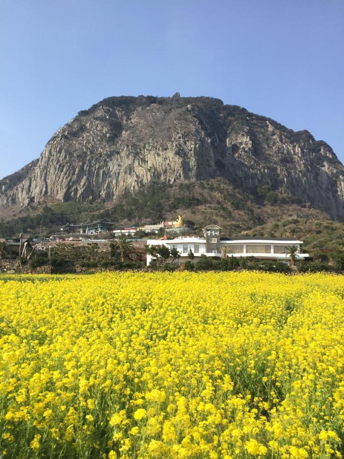 Jeju Moseulpo Hotel Согвіпо Екстер'єр фото